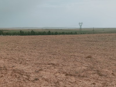 Vente Terrain Agricole Djelfa Djelfa