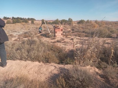 Vente Terrain Agricole Djelfa Djelfa