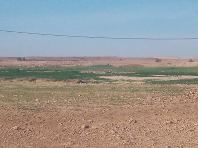 terrain-agricole-vente-djelfa-algerie