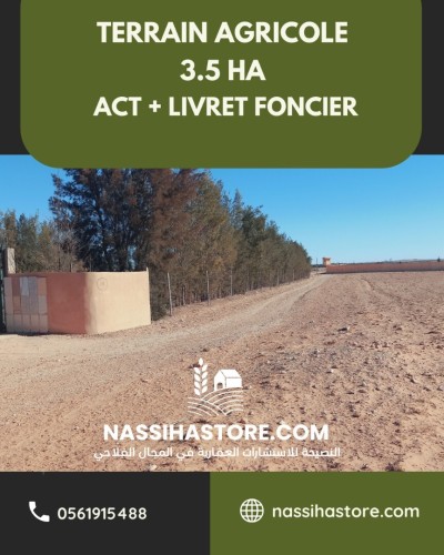 Vente Terrain Agricole Djelfa Djelfa