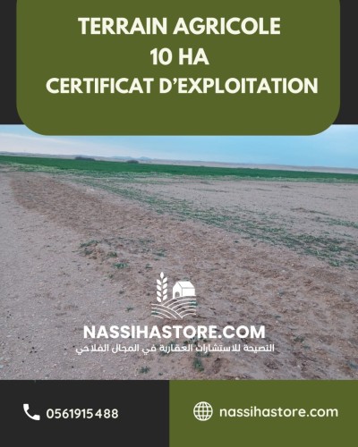 Vente Terrain Agricole Djelfa Birine