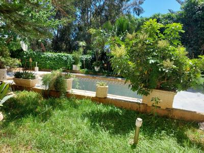 Location Villa Alger Chevalley