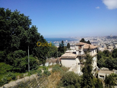 alger-el-biar-algerie-appartement-location-f3