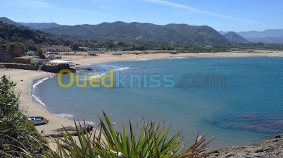 bungalow-location-skikda-collo-algerie