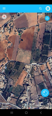 terrain-agricole-cherche-achat-chlef-algerie