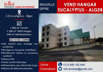 hangar-vente-alger-les-eucalyptus-algerie