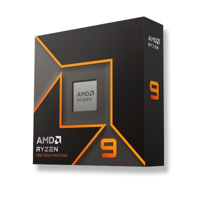 AMD RYZEN 9 9900X (4,4 GHZ / 5,6 GHZ)