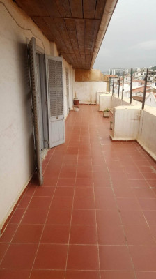 appartement-vente-f4-alger-centre-algerie