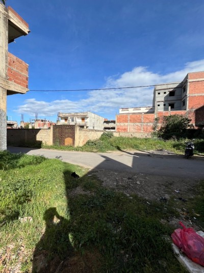 Vente Terrain Blida Boufarik
