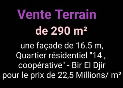 بيع أرض وهران بئر الجير