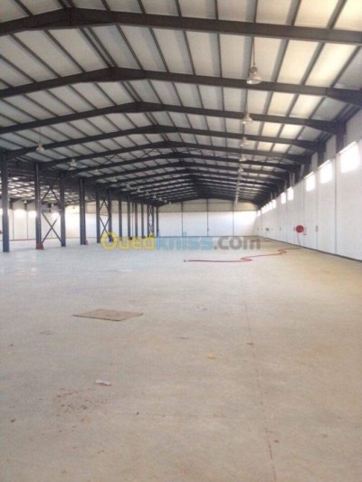 Rent Hangar Oran Hassi ben okba