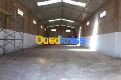 Rent Hangar Oran Tafraoui