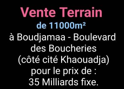 بيع أرض وهران بئر الجير