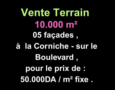 Sell Land Oran Ain el turck