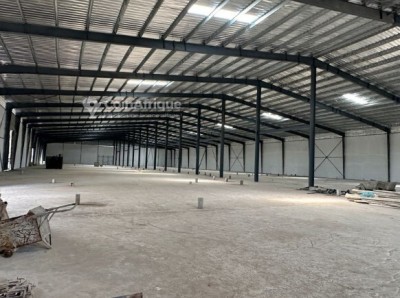 Rent Hangar - Factory Oran Oued tlelat