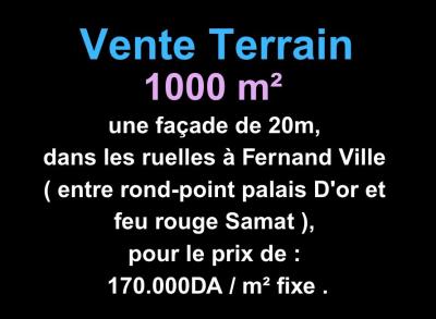 بيع أرض وهران بئر الجير