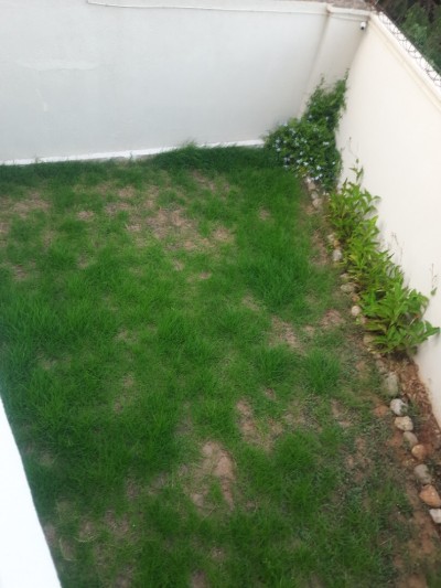 Location Villa Alger El biar