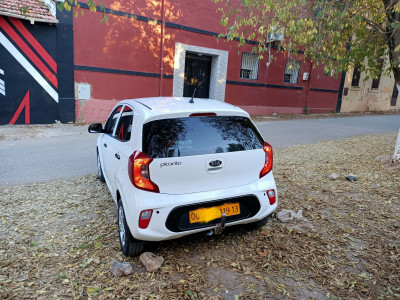 mini-citadine-kia-picanto-2019-tlemcen-algerie