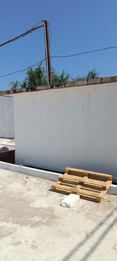 Location Hangar Alger Cheraga