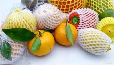 Filet de mousse des fruits et legumes