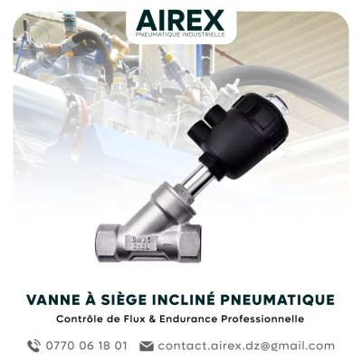 Vannes Pneumatiques à Siège Incliné en INOX 
