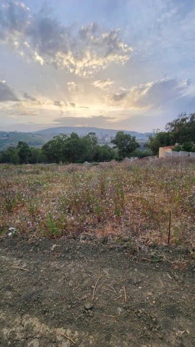 بيع أرض بومرداس دلس