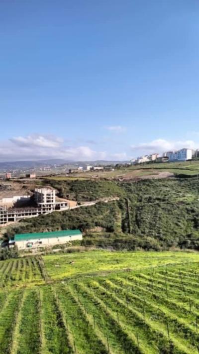 بيع شقة 3 غرف بومرداس دلس