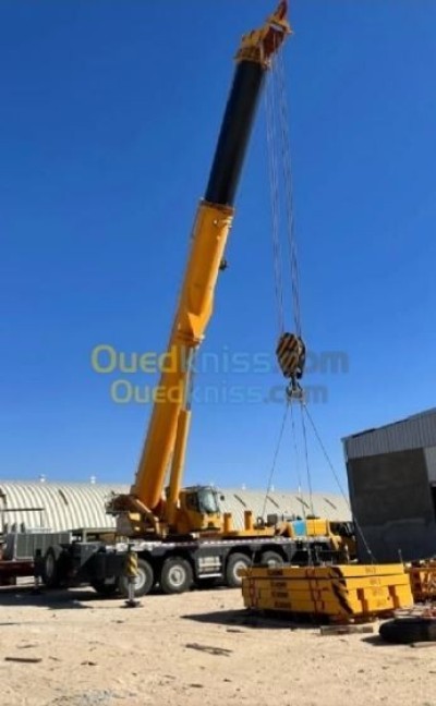 Location Grue 70 tn