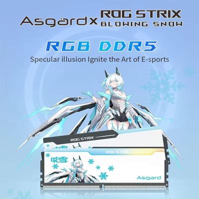 Asgard 32GB 16GBx2 DDR5 6000MHZ 6400MHZ RGB Memory Strip ROG STRIX 