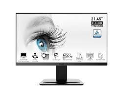 ecrans-ecran-msi-pro-mp225-215-ips-100hz-1ms-alger-centre-algerie