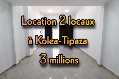 Rent Commercial Tipaza Kolea