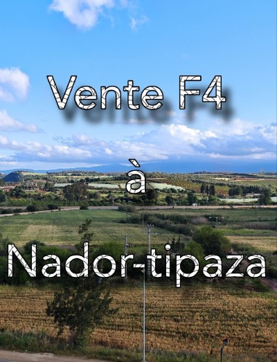 Sell Apartment F4 Tipaza Nador