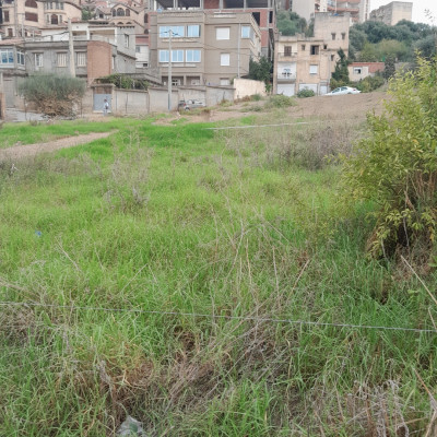 terrain-vente-bejaia-algerie