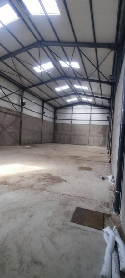 Location Hangar - Usine Blida Meftah