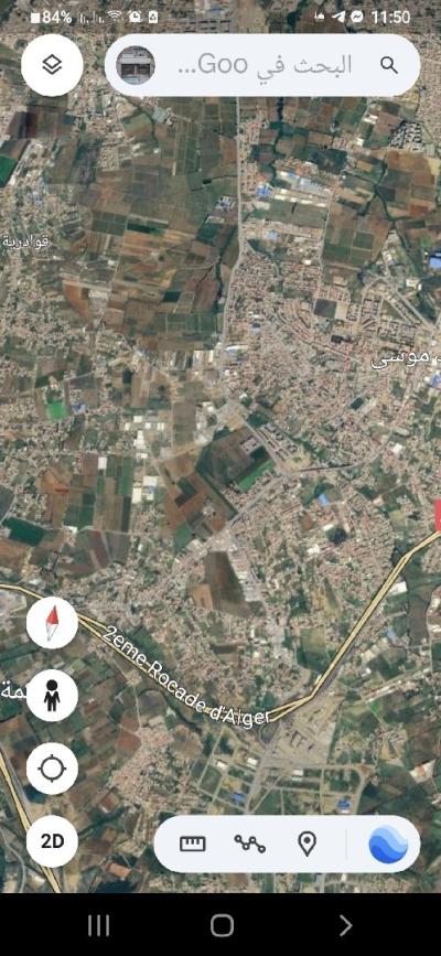 Location Terrain Boumerdès Ouled moussa