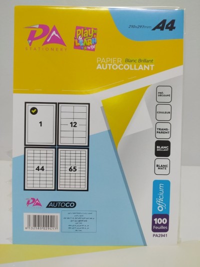 Autocollante A4 Brillant 100F