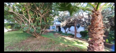 Vente Terrain Alger Birkhadem