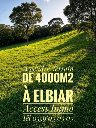 Vente Terrain Alger El biar
