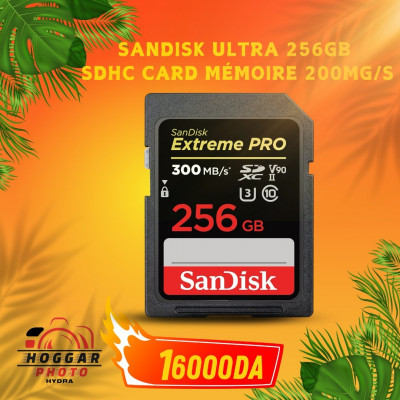 sandisk SDXC extreme pro 256gb 200mb/s V30 UHS I
