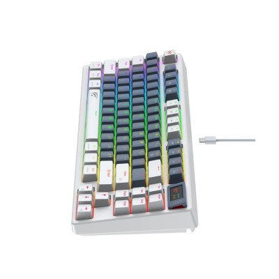 HAVIT KB884L CLAVIER MECANIQUE GAMING RGB
