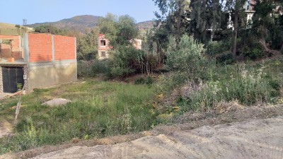 بيع أرض تيبازة شرشال