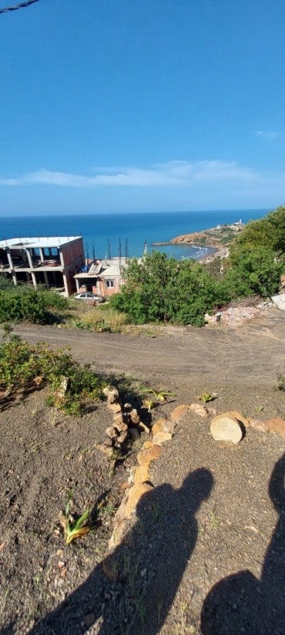 بيع أرض تيبازة ڨوراية