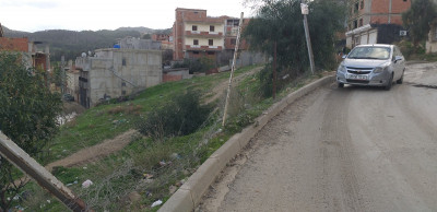 terrain-vente-tipaza-cherchell-algerie