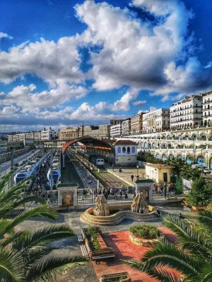 local-vente-alger-belouizdad-algerie