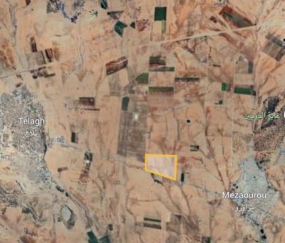 بيع أرض فلاحية سيدي بلعباس مزاورو