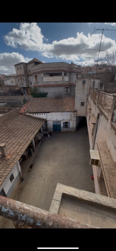 Vente Terrain Tlemcen Tlemcen