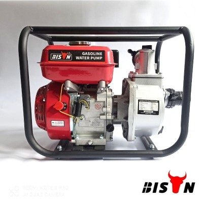 Motopompe WP20 BISON