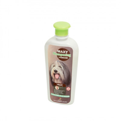 Shampooing antiparasitaire CANICHE - Animaxy 