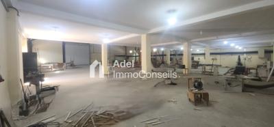 Location Hangar - Usine Annaba Barrahel