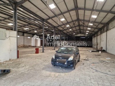 Location Hangar Annaba El bouni